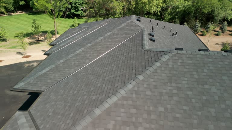 Best Roof Coating and Sealing  in Belleville, MI